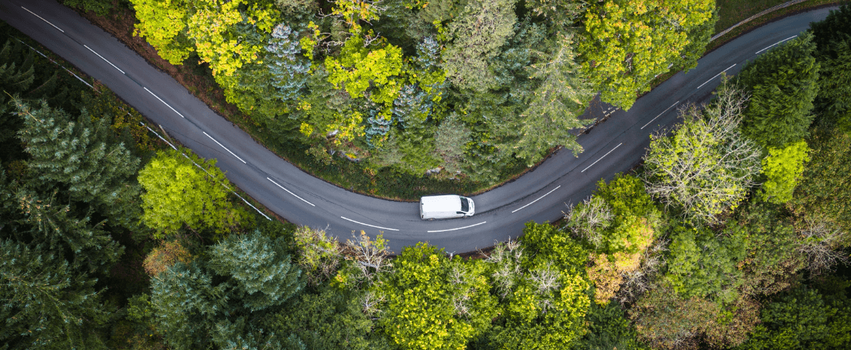 van driving on road surrounded by trees